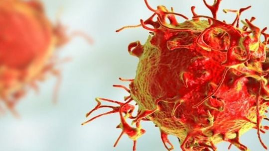 Cuáles son los últimos avances en la lucha contra el cáncer en la sangre